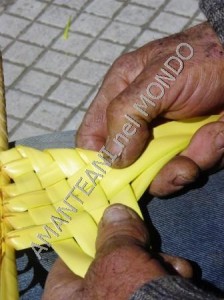 Intrecciamento palme